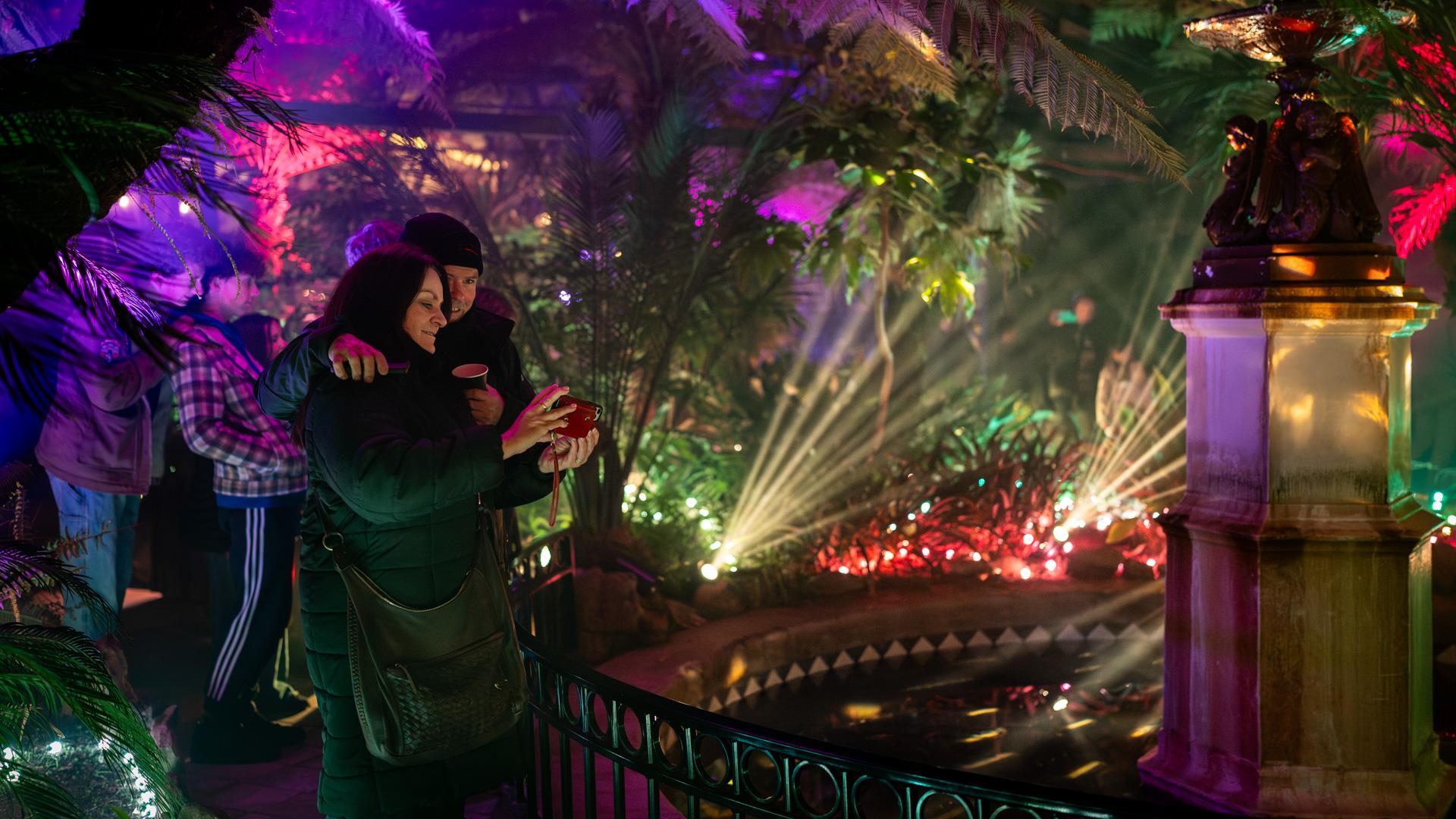 People exploring the lit up immersive Fernery.