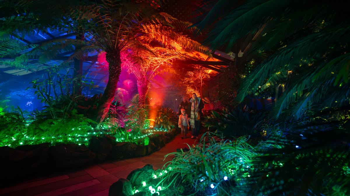 Family walking through the immersive light experience in the fernery.